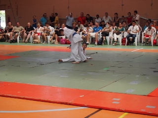 Image description